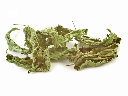 Himalayan Stinging Nettle (dried whole leaves)