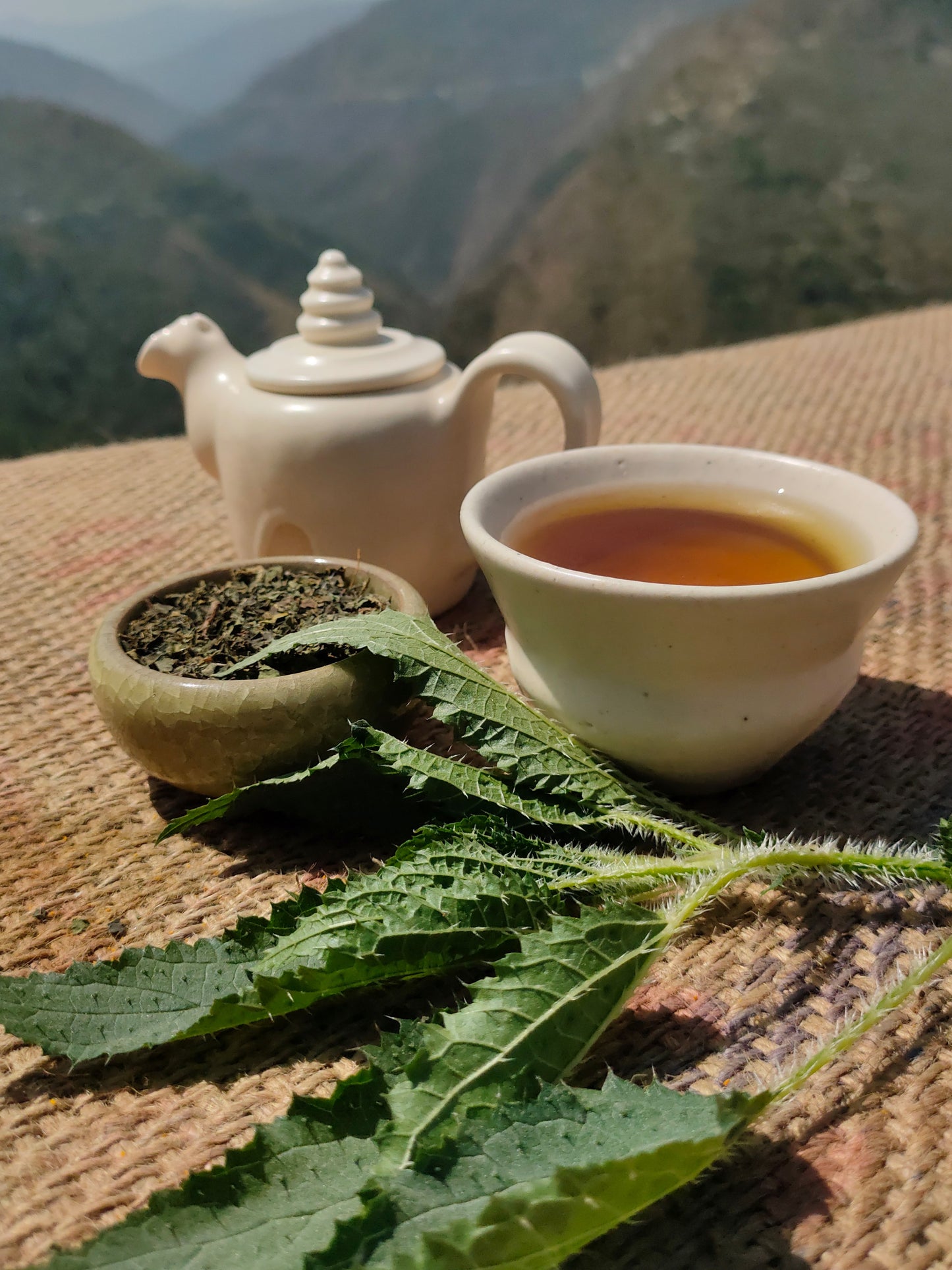 Himalayan Stinging Nettle (dried whole leaves)